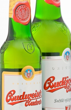 Budweiser Pils aus Tschechien