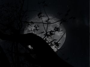 Vollmond zu Samhain und Halloween