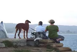 Urlaub mit Hund am Balaton